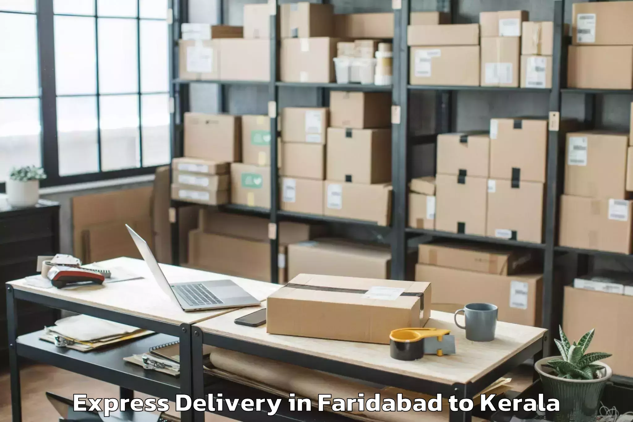 Book Your Faridabad to Punalur Express Delivery Today